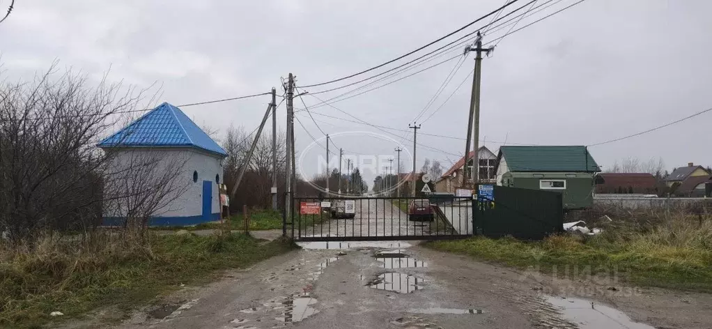 Участок в Калининградская область, Зеленоградский муниципальный округ, ... - Фото 1