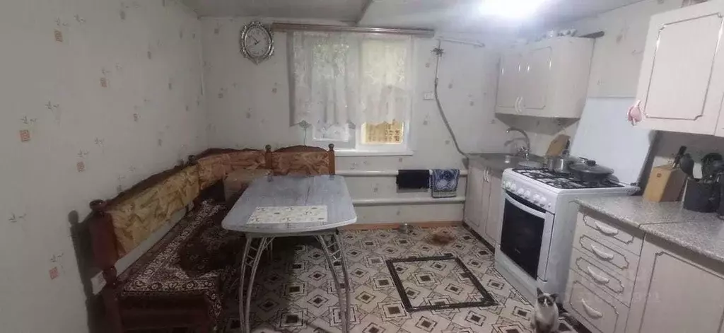 Дом в Оренбургская область, пос. Саракташ ул. Фролова, 136 (46 м) - Фото 0