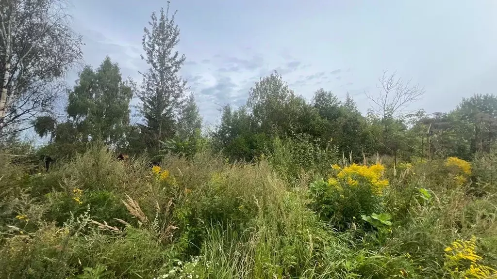 Участок в Московская область, Истра ул. Ленина, Река Истра (20.0 сот.) - Фото 2