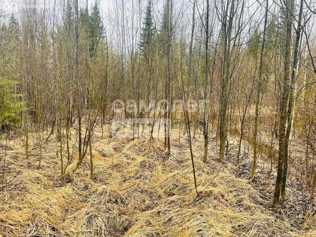 Участок в Республика Коми, муниципальный район Сыктывдинский, ... - Фото 2