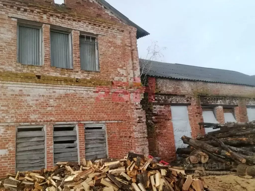 Производственное помещение в Пензенская область, Мокшанский район, с. ... - Фото 2
