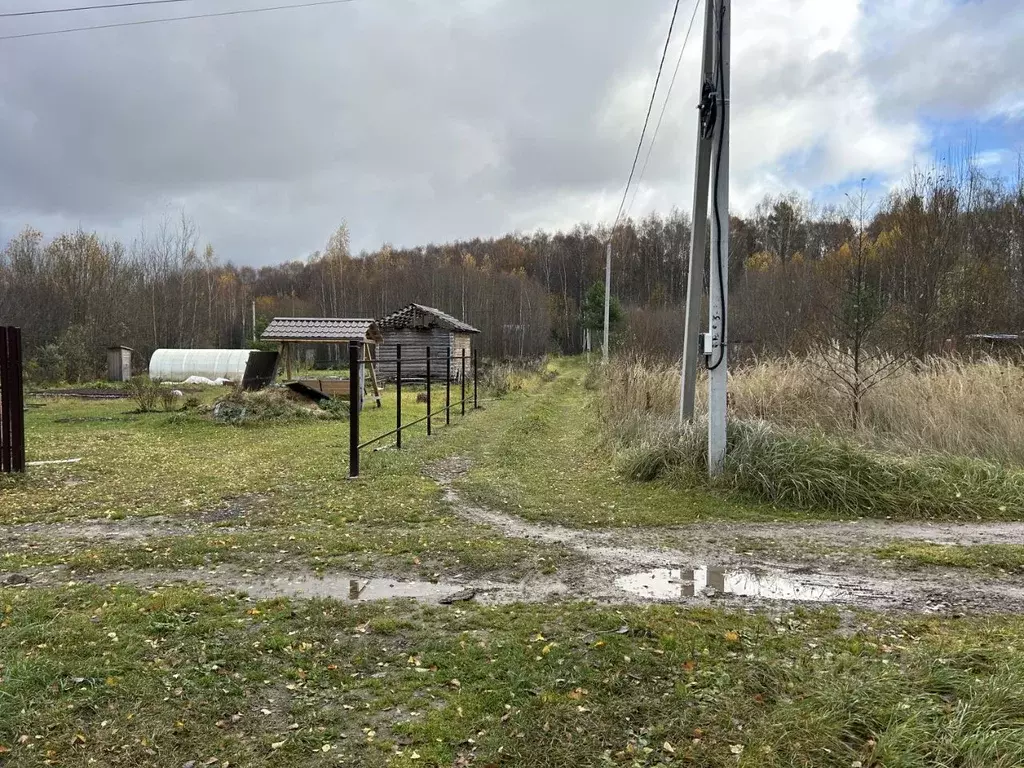 Участок в Владимирская область, Александровский район, Андреевское ... - Фото 0