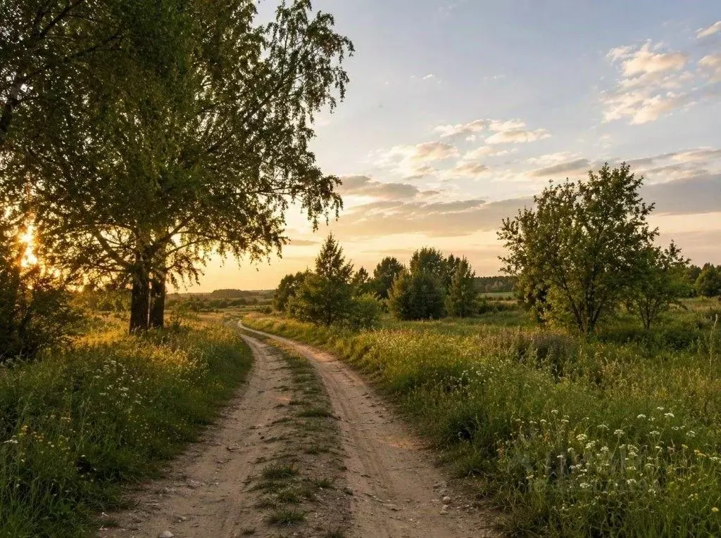Участок в Челябинская область, Сосновский муниципальный округ, с. ... - Фото 2