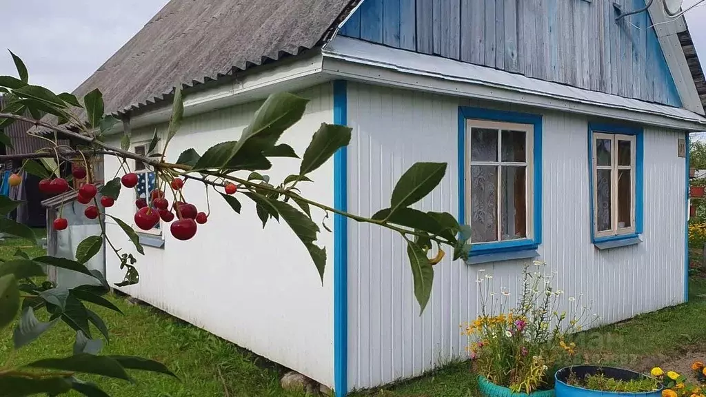 Дом в Ленинградская область, Киришский район, Кусинское с/пос, ... - Фото 1