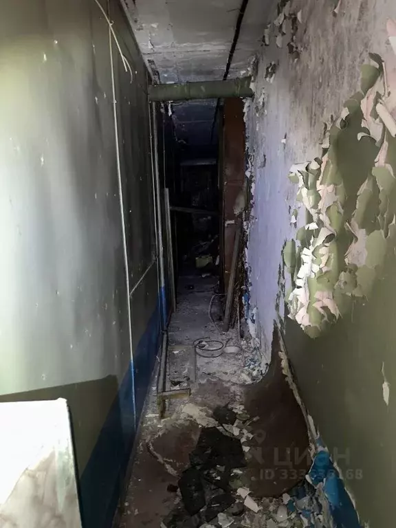 Помещение свободного назначения в Мурманская область, Апатиты ул. ... - Фото 1