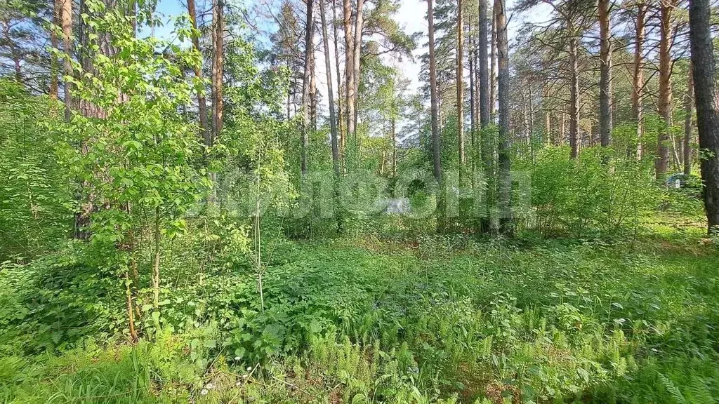 Участок в Новосибирская область, Новосибирск ул. Обские зори (10.0 ... - Фото 2