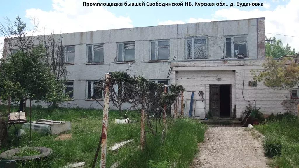 Помещение свободного назначения в Курская область, Золотухинский ... - Фото 2