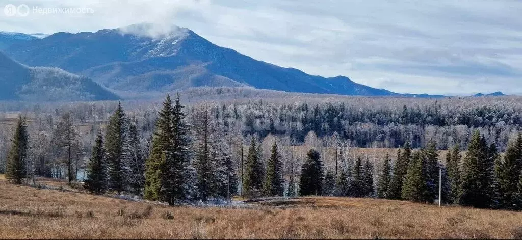 Участок в Усть-Коксинский район, село Усть-Кокса (600 м) - Фото 0