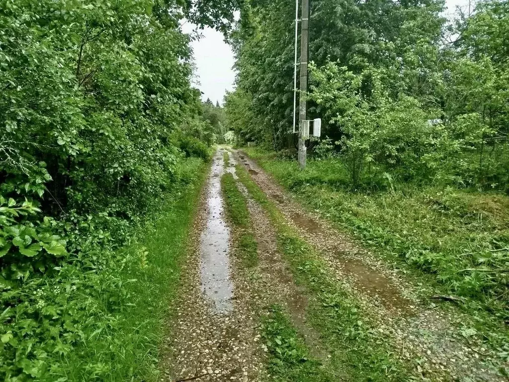 Дом в Московская область, Клин городской округ, Химки СНТ ул. ... - Фото 1