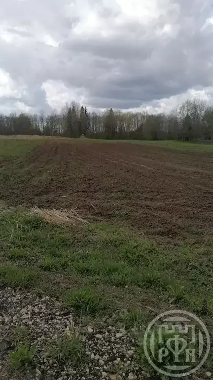 Участок в Новгородская область, Батецкий муниципальный округ, д. ... - Фото 0