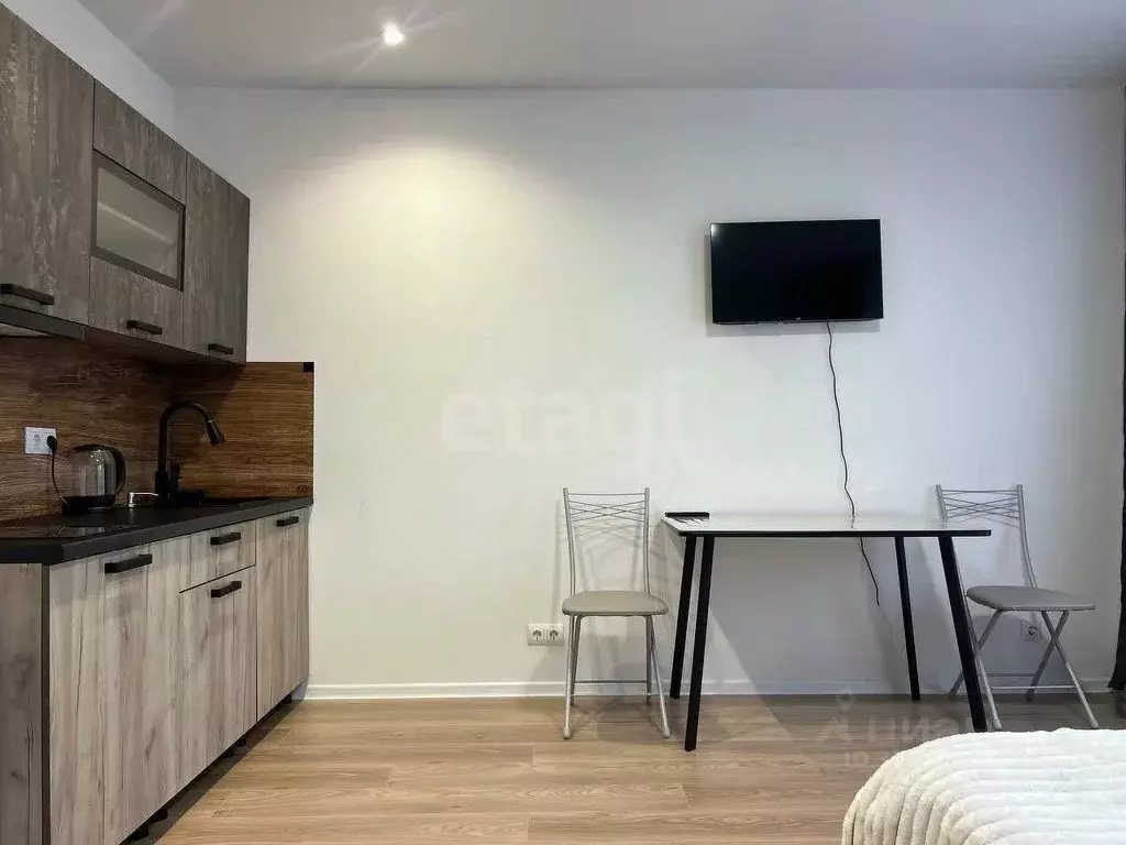 Студия Ленинградская область, Всеволожский район, д. Новое Девяткино ... - Фото 2