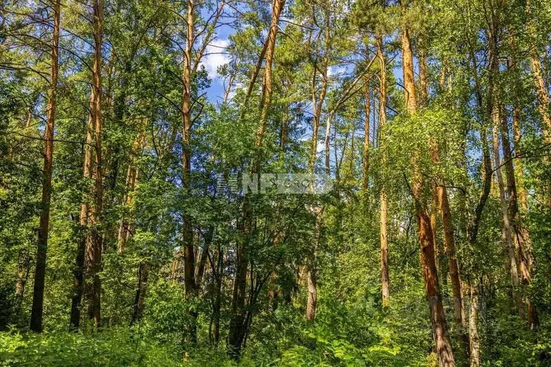 Участок в Московская область, Красногорск городской округ, с. ... - Фото 1