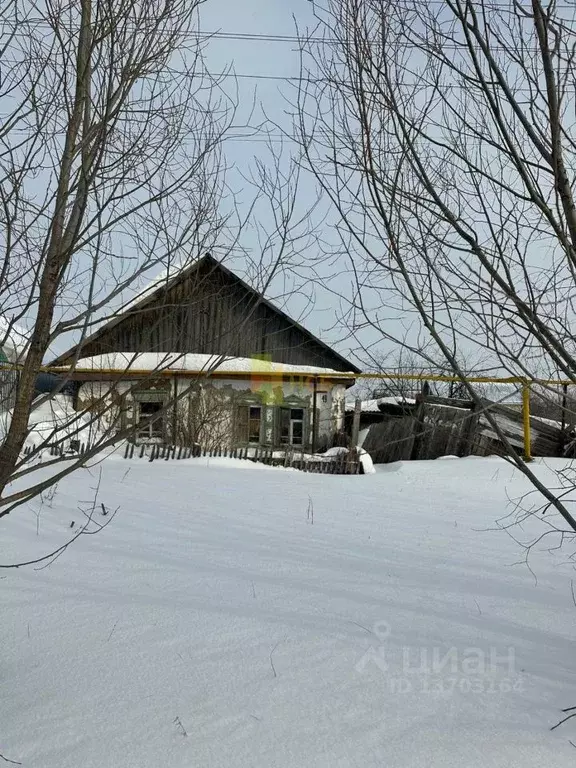 Дом в Омская область, Тюкалинск ул. Чкалова, 49 (42 м) - Фото 0