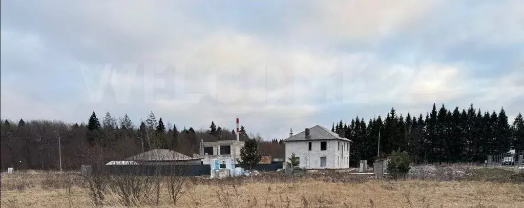 Участок в Москва № 109 кв-л,  (10.0 сот.) - Фото 2