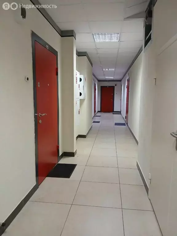 Квартира-студия: Кудрово, проспект Строителей, 20 (25.62 м) - Фото 2