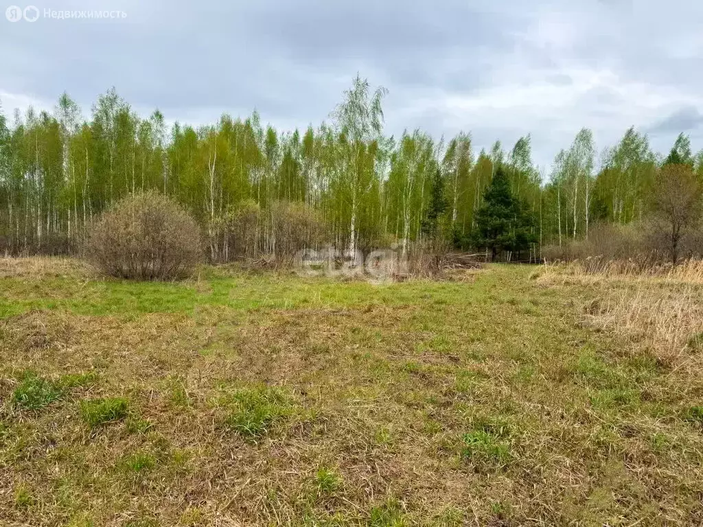 Участок в Тюменский район, ДНТ Янтарное, Сиреневая улица (15 м) - Фото 1