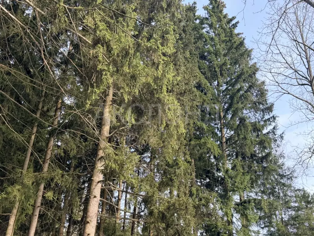 Дом в Московская область, Одинцовский городской округ, 30 лет Октября ... - Фото 0