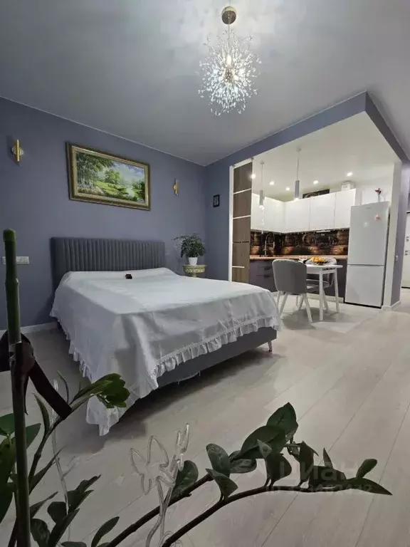 Студия Московская область, Щелково ул. Жегаловская, 29А (30.4 м) - Фото 1