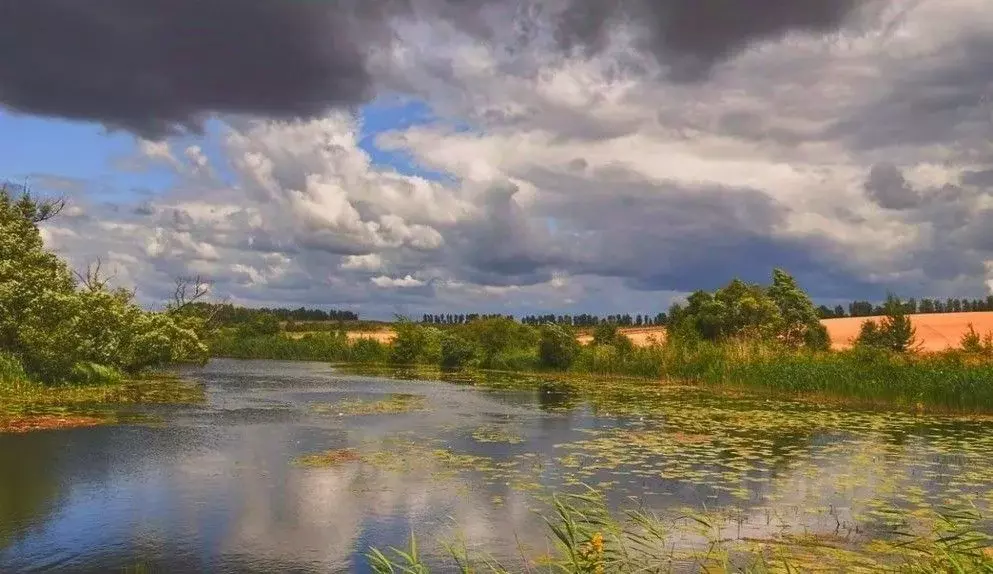 Участок в Московская область, Красногорск городской округ, д. ... - Фото 1