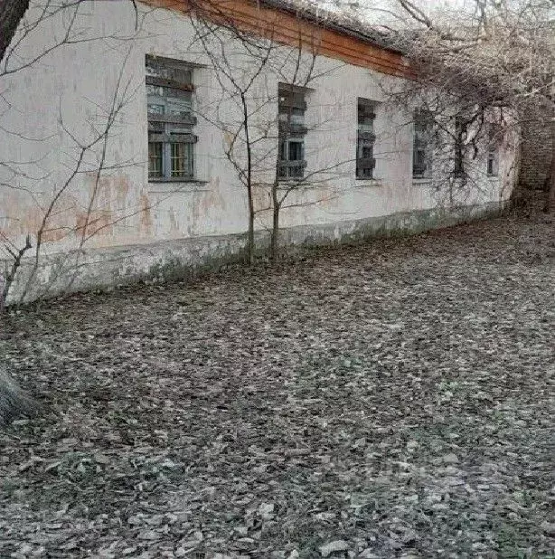 Помещение свободного назначения в Московская область, Рузский ... - Фото 1