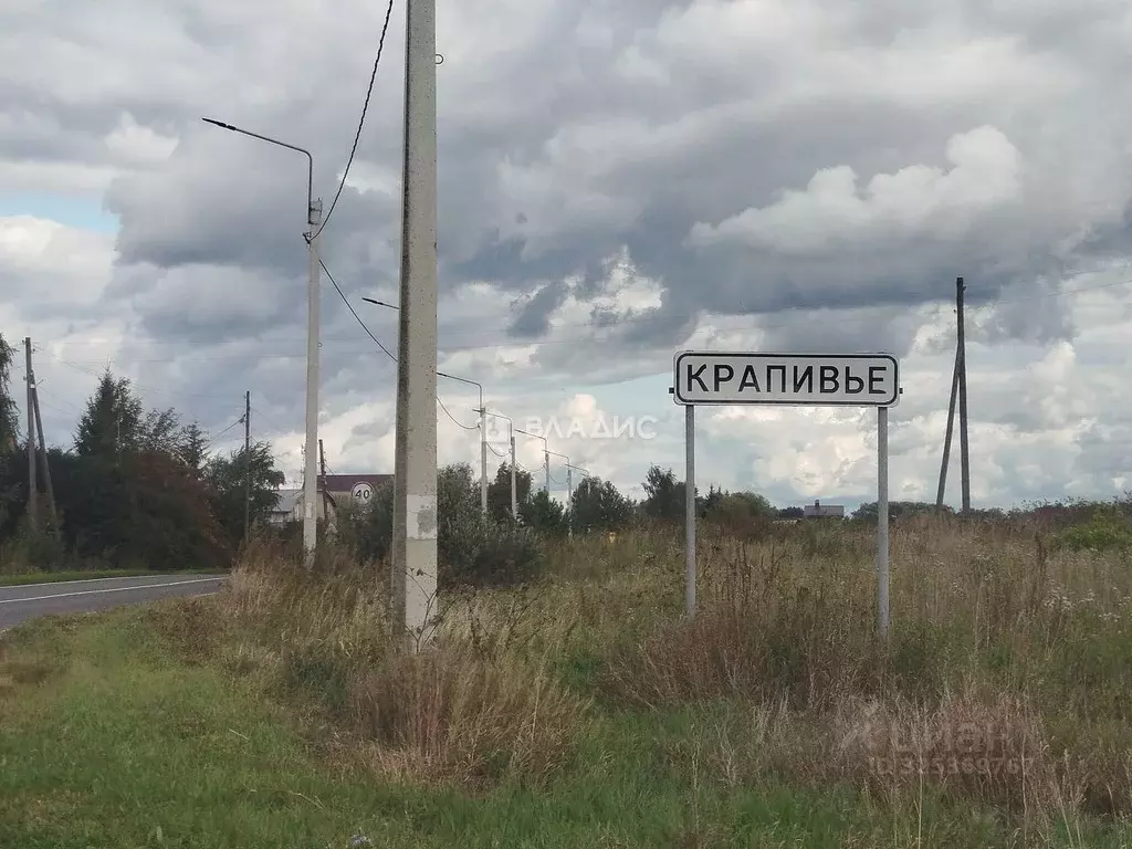 Участок в Владимирская область, Суздальский район, Селецкое ... - Фото 2