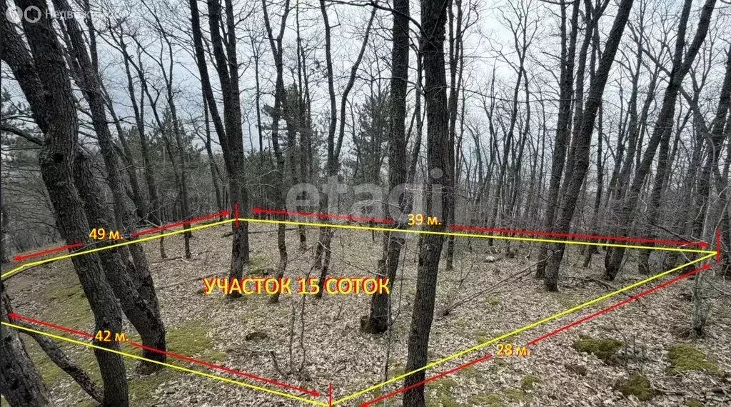 Участок в Республика Крым, муниципальный округ Ялта, посёлок ... - Фото 1