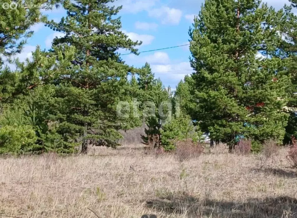 Участок в Иволгинский район, сельское поселение Нижнеиволгинское, ДНТ ... - Фото 2