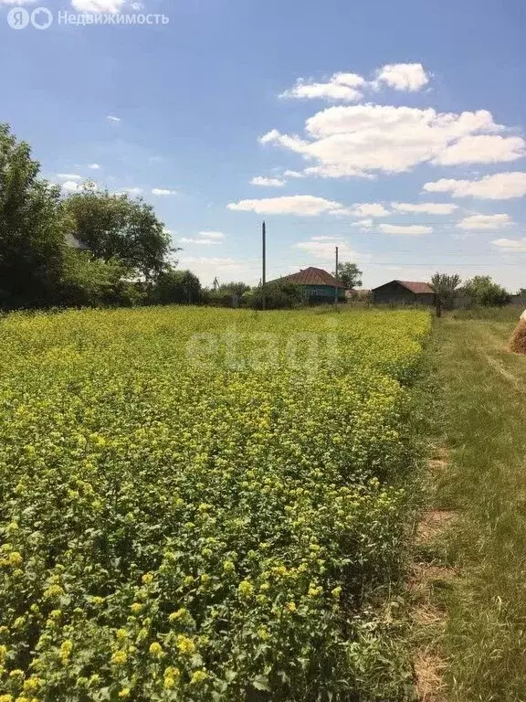 Участок в Курский район, Лебяженский сельсовет, село Лебяжье (22.8 м) - Фото 1