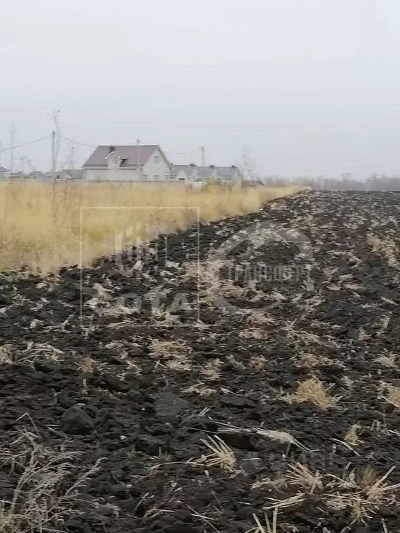 Участок в Воронежская область, с. Новая Усмань ул. Мосина, 66 (20.0 ... - Фото 1