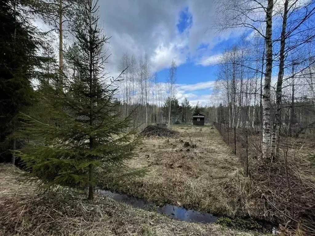 Участок в Ленинградская область, Приозерский район, Раздольевское ... - Фото 0