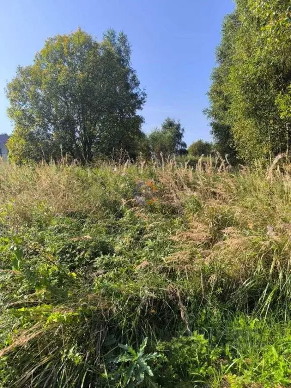 Участок в Новгородская область, Новгородский район, Ракомское с/пос, ... - Фото 1