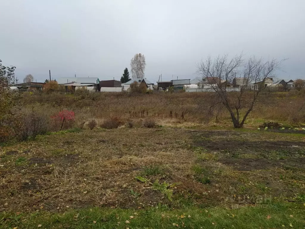 Участок в Новосибирская область, Мошково рп  (10.0 сот.) - Фото 1