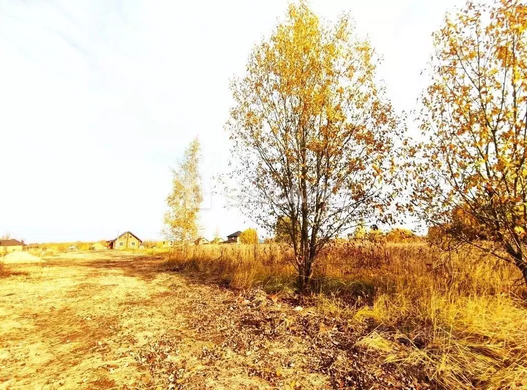 Участок в Владимирская область, Суздальский район, Новоалександровское ... - Фото 0