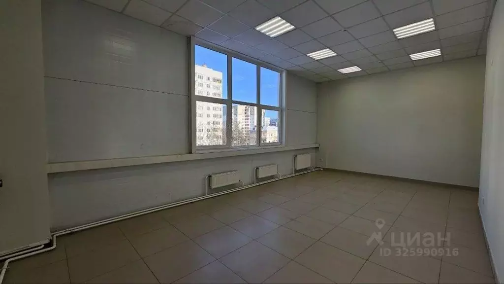 Офис в Новгородская область, Великий Новгород ул. Зелинского, 41А (24 ... - Фото 2