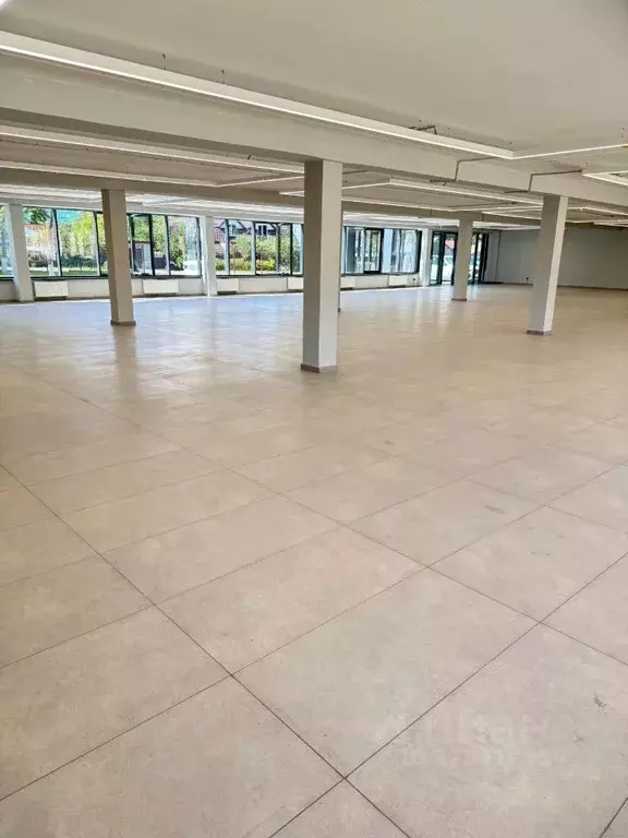 Торговая площадь в Московская область, Старая Купавна Богородский ... - Фото 2