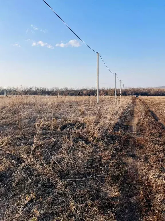 Участок 10 сот. (ИЖС) - Фото 1