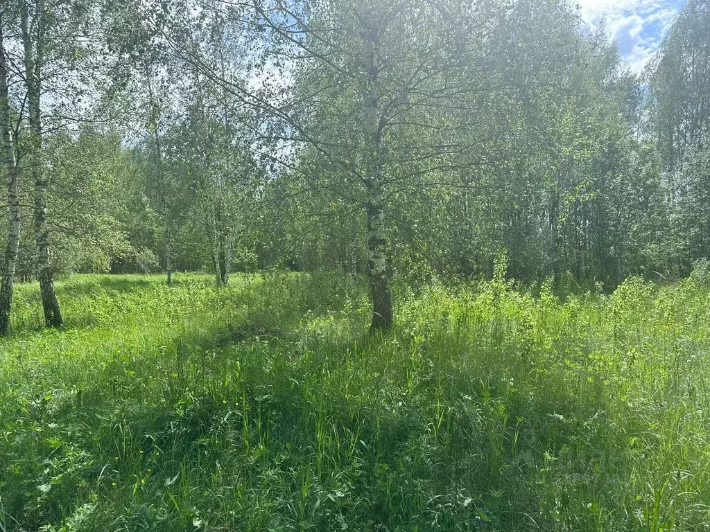 Участок в Московская область, Богородский городской округ, д. Кабаново ... - Фото 0