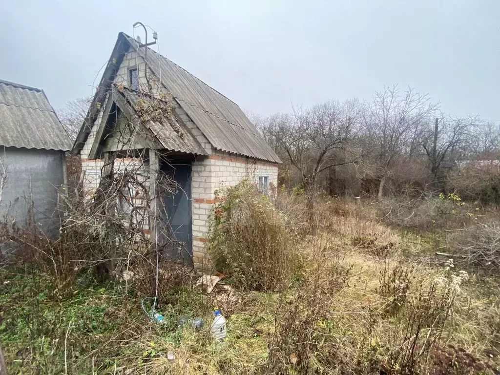 Где Купить В Белгороде Дачу