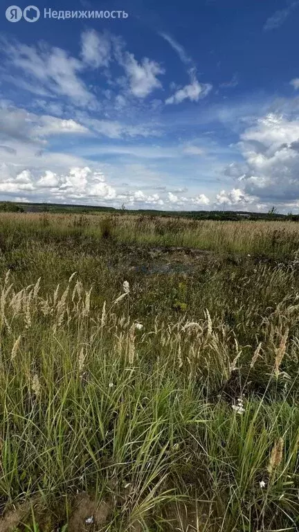 Участок в деревня Берёзовка, Северная улица, 27 (12 м) - Фото 1