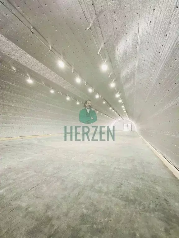 Склад в Московская область, Домодедово городской округ, д. Немцово 27 ... - Фото 1