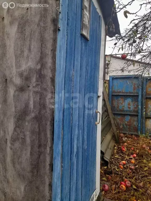 Дом в Балашов, Республиканская улица (38 м) - Фото 1