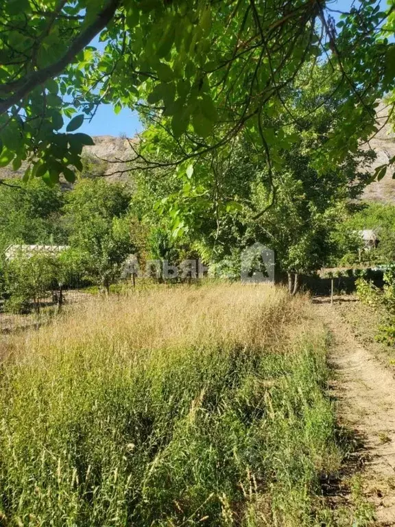 Дом в Ростовская область, Белая Калитва БКМПО-2 садоводческое ... - Фото 2