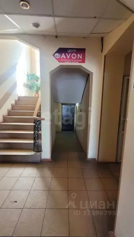 Помещение свободного назначения в Брянская область, Брянск просп. ... - Фото 1