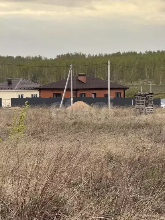 Участок в Тульская область, Тула городской округ, д. Частинские ... - Фото 1