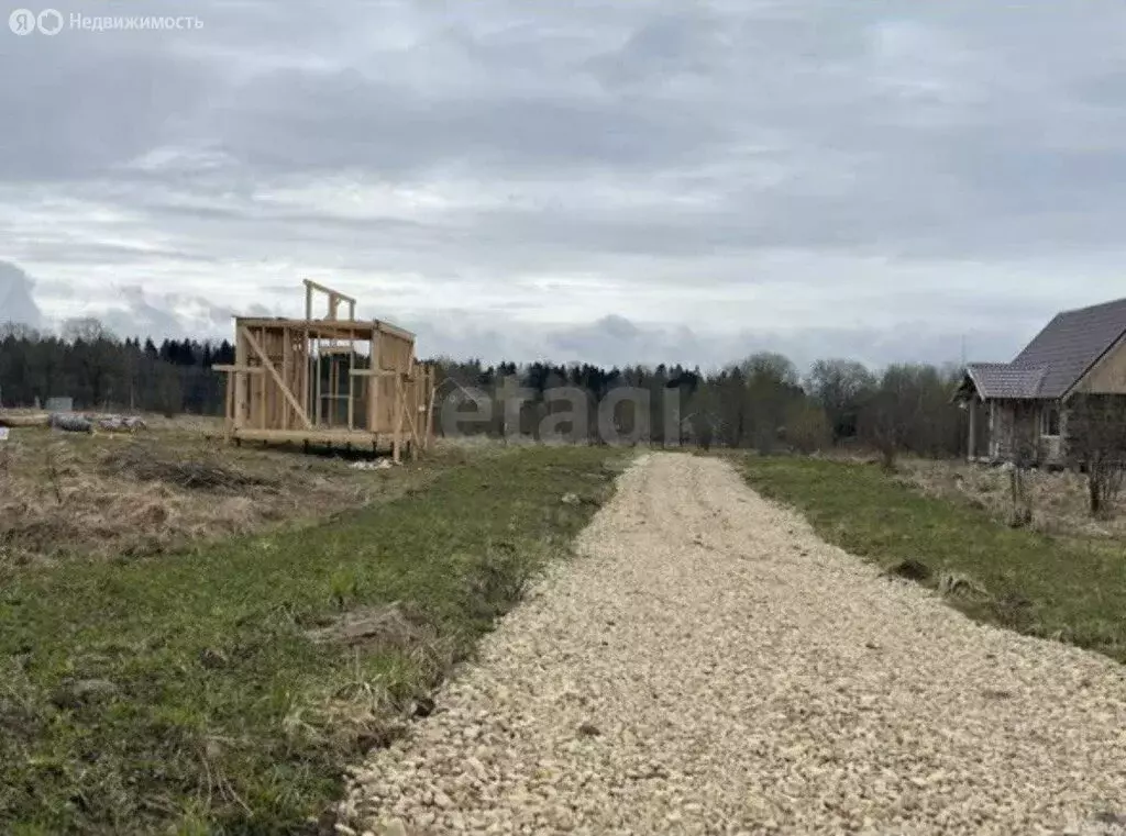 Участок в Лопухинское сельское поселение, территория ЗАО Лопухинка ... - Фото 2