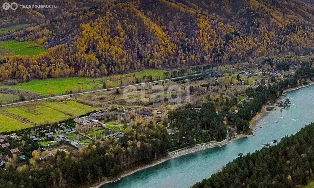 Участок в Майминский район, Соузгинское сельское поселение, ДНП Катунь ... - Фото 2