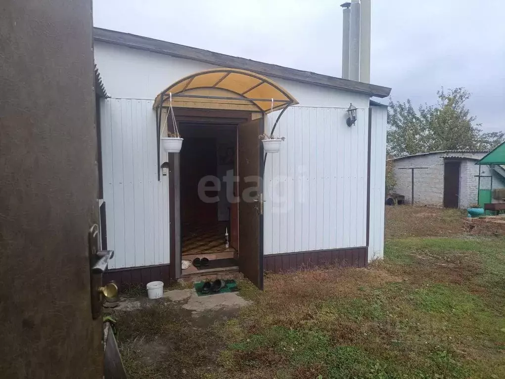 Дом в Белгородская область, Вейделевка рп ул. Березовая, 11 (35 м) - Фото 1