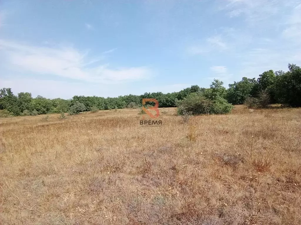 Участок в Крым, Бахчисарайский район, с. Ароматное  (100.0 сот.) - Фото 1