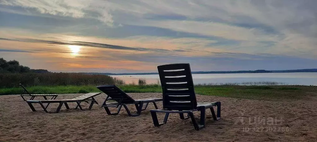 Участок, 14.5 сот., поселения (ижс) - Фото 1