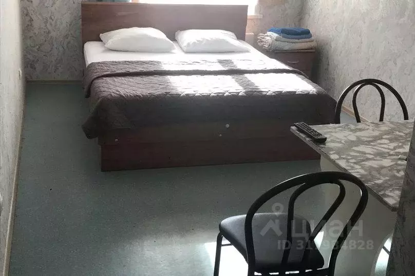 1-к кв. Красноярский край, Красноярск ул. Академика Киренского, 9а ... - Фото 0